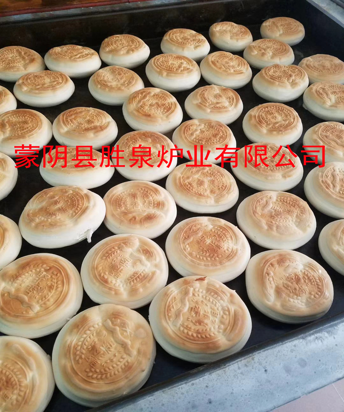 1519223536393.jpg mmexport1517892824510.jpg
